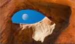 oog