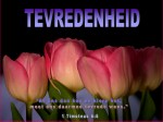 tevredenheid-LRG