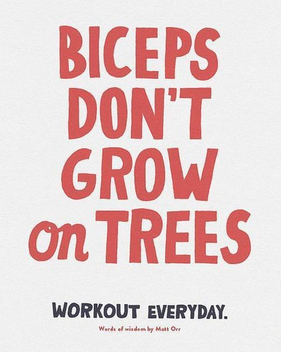 gym2-766d083bbdd89284b4d8b35eaf42b466_h